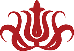 Washington Turkish Women Association (WTWA)