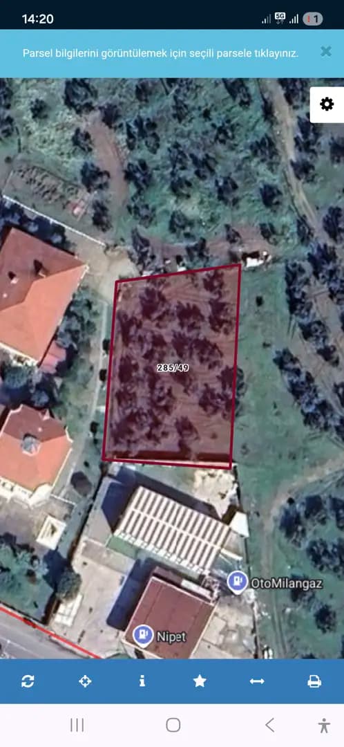 Olive Grove for Sale in Ebubekir, Road Frontage, Central, Zoned